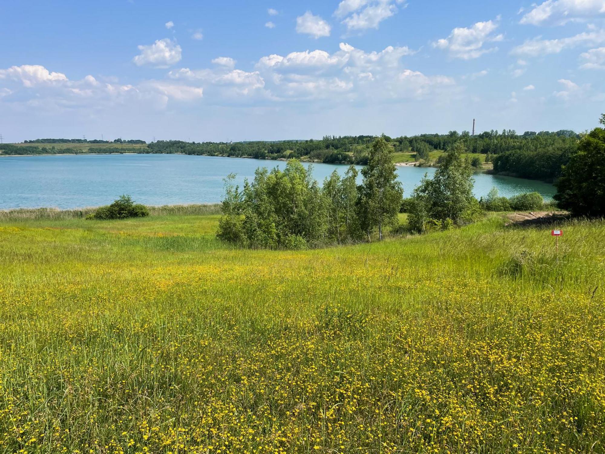 Haus Im Schilf 2 - Ferienwohnungen Am Hainer See Bei Leipzig Neukieritzsch المظهر الخارجي الصورة