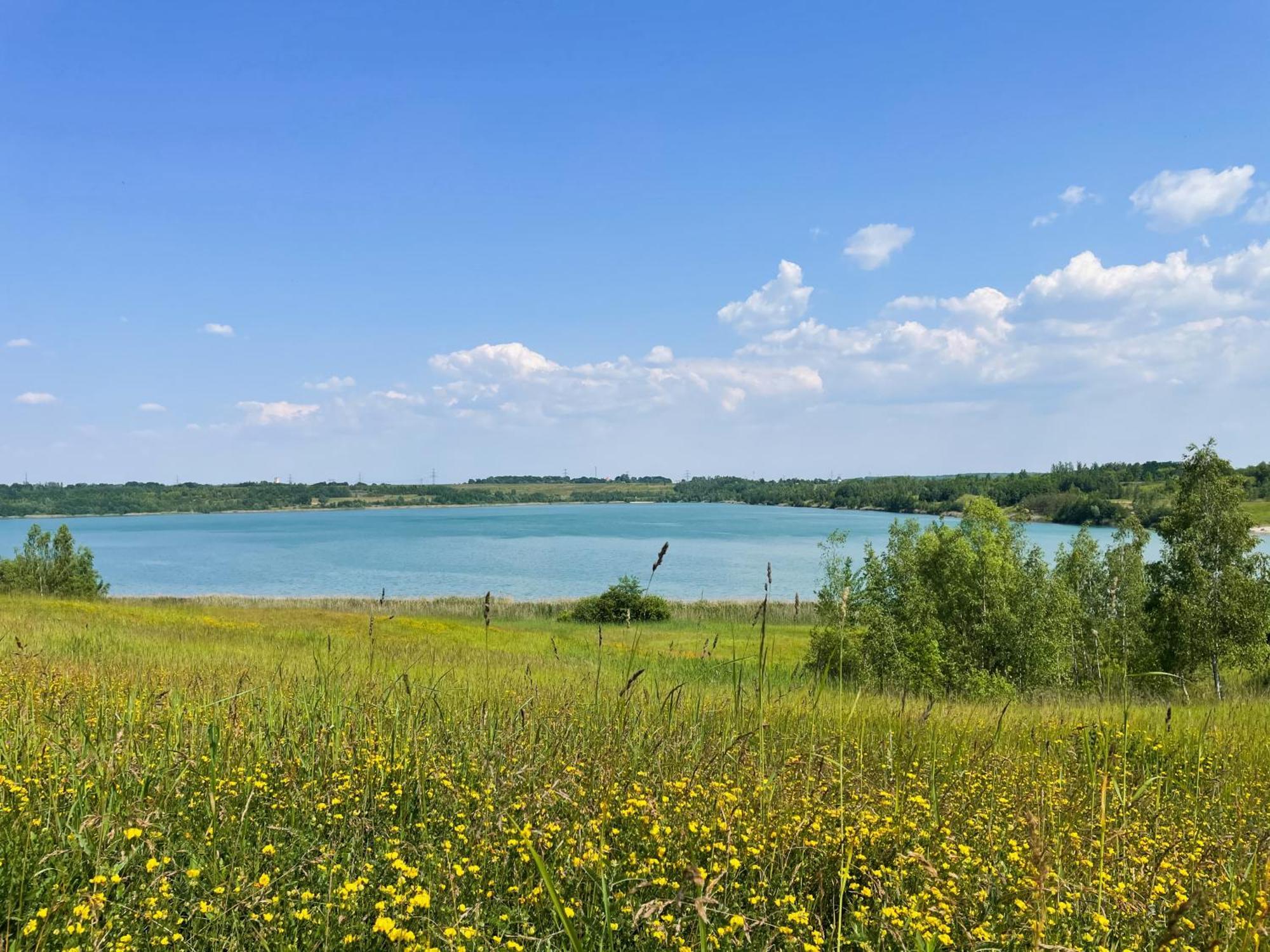Haus Im Schilf 2 - Ferienwohnungen Am Hainer See Bei Leipzig Neukieritzsch المظهر الخارجي الصورة