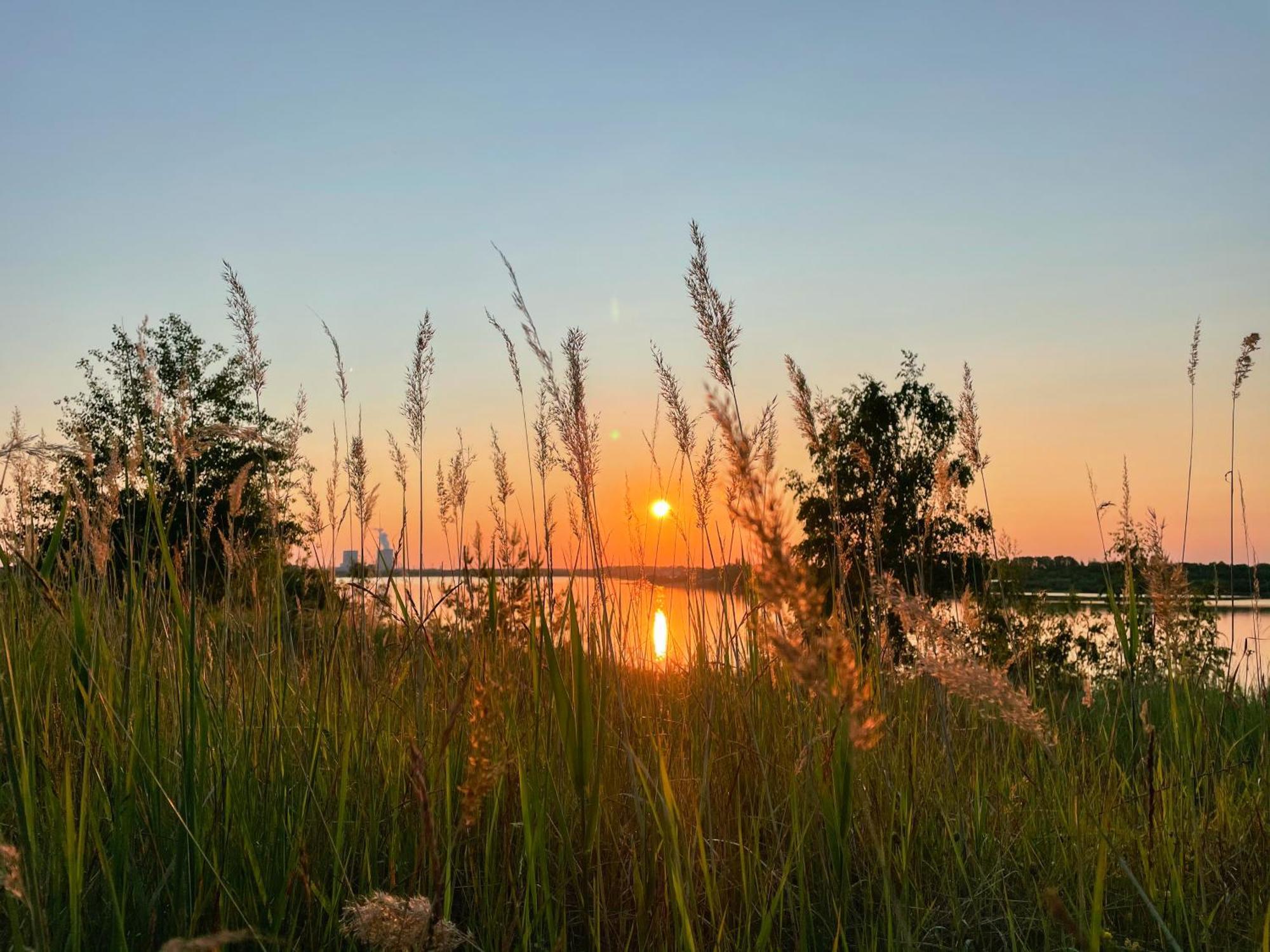 Haus Im Schilf 2 - Ferienwohnungen Am Hainer See Bei Leipzig Neukieritzsch المظهر الخارجي الصورة